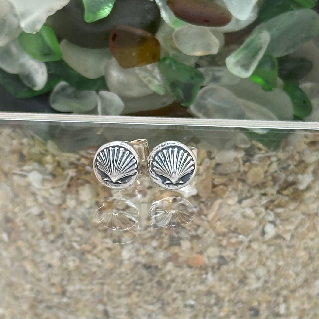 Shell Pebble Stud Earrings